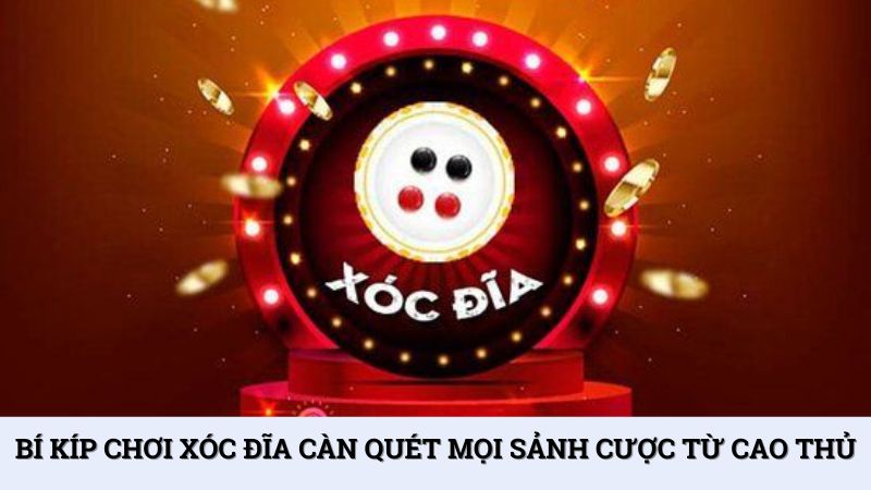 Bí kíp chơi xóc đĩa càn quét mọi sảnh cược từ cao thủ