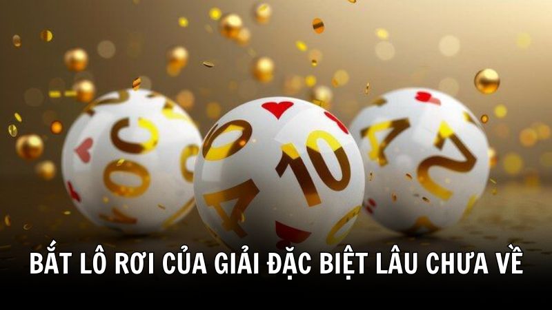 Cách bắt lô rơi của giải đặc biệt miền Bắc lâu không về