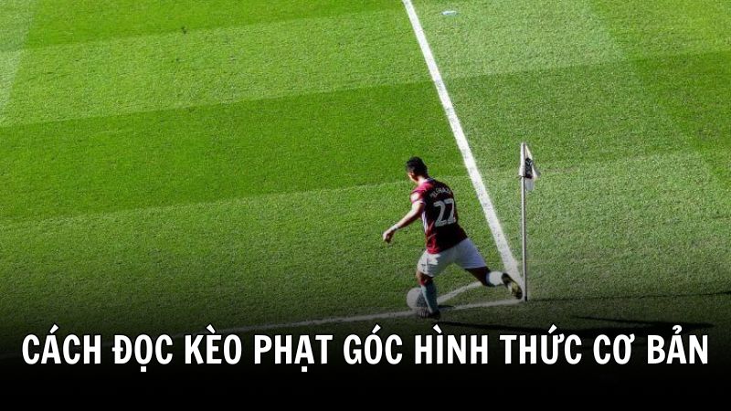 Hướng dẫn cách đọc kèo phạt góc cơ bản