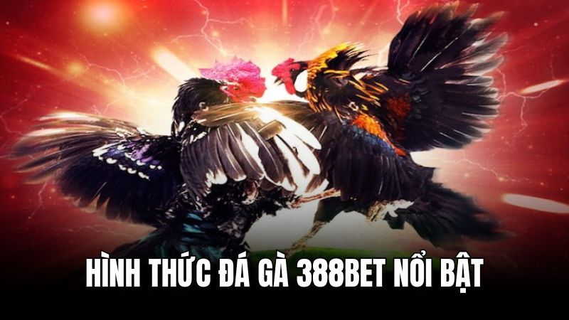 Các loại hình đá gà 388BET phổ biến