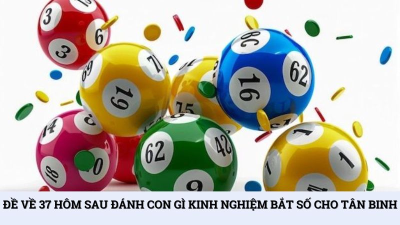 Đề về 37 hôm sau đánh con gì kinh nghiệm bắt số cho tân binh