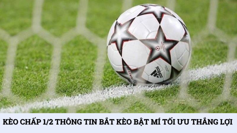 Kèo chấp 1/2 thông tin bắt kèo bật mí tối ưu thắng lợi