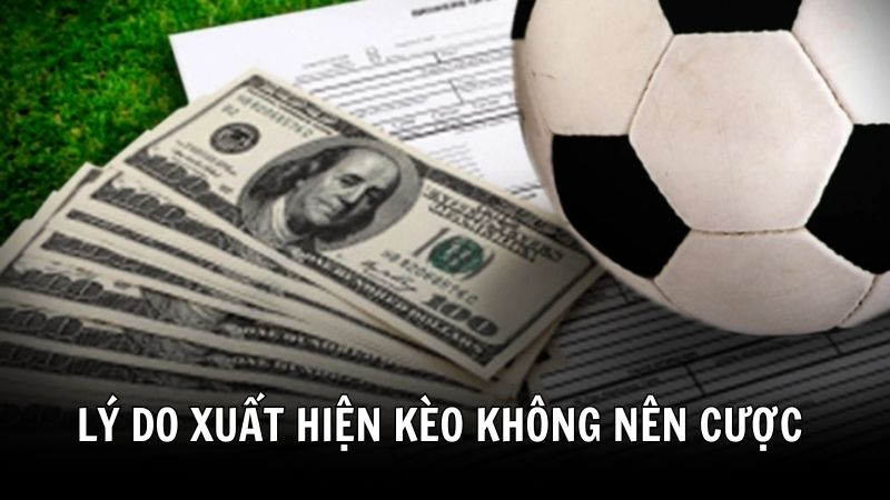 Lý do xuất hiện kèo nào không nên cược