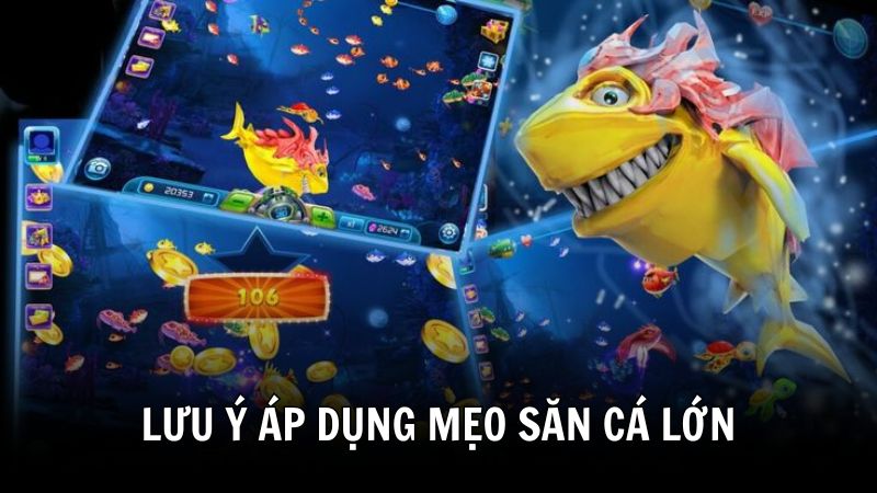 Lưu ý khi áp dụng mẹo săn cá lớn