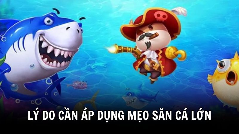 Lý do nên áp dụng mẹo săn cá lớn