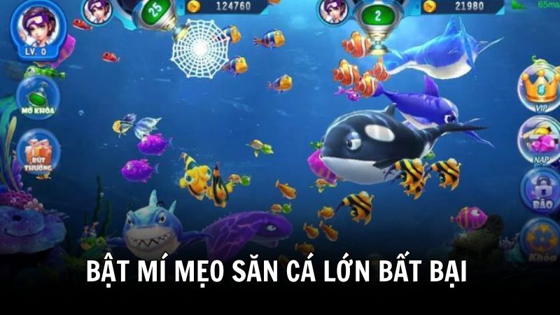 Tổng hợp những mẹo săn cá lớn