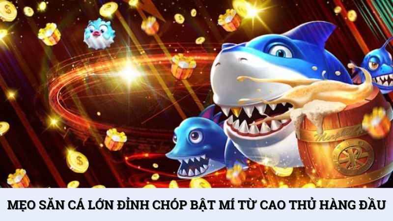 Mẹo săn cá lớn đỉnh chóp bật mí từ cao thủ hàng đầu
